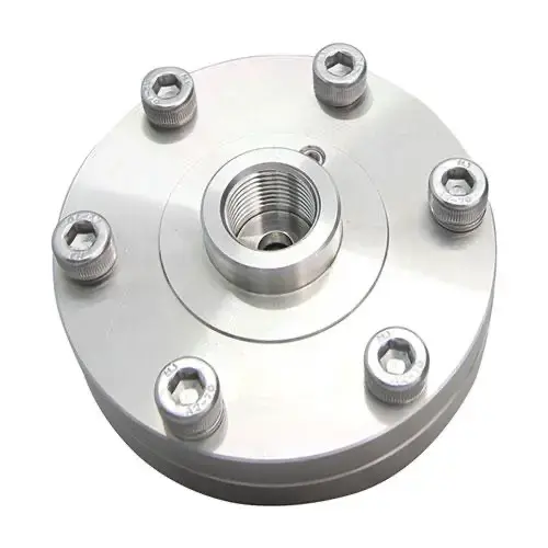 pressure-gauge-octagauge-Diaphragm-Seal-DS-flange-top.webp