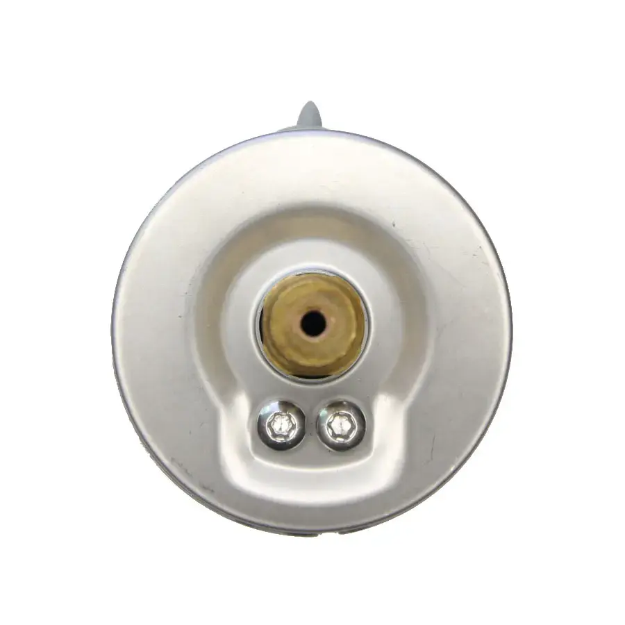 pressure-gauge_octa_GBK63_View_back(1).webp