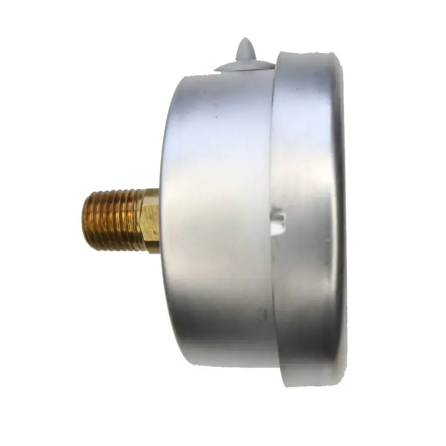 pressure-gauge_octa_GBK63_View_side.webp