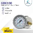 เกจวัดแรงดัน OCTA รุ่น GBK100 เกลียวหลัง 4" วัดแรงดันทั่วไป น้ำ ลม